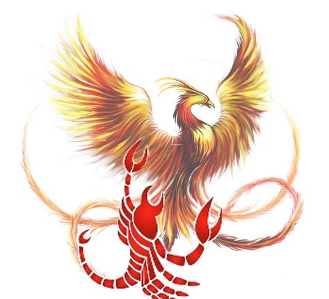 3b6a829b892591b50767af246db887fc